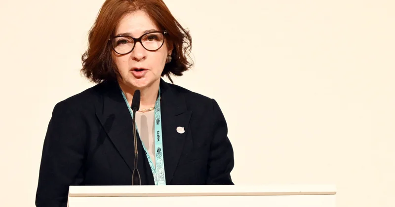 Nazir müavini: Şəhərlər sağlam və əlçatan olmalıdır