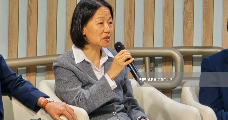 ADB: Ənənəvi maliyyələşmə modelləri ada dövlətlərində işləmir