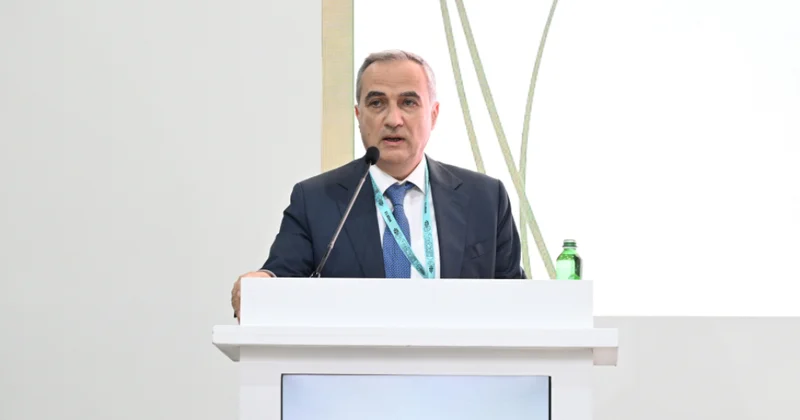 Fərid Şəfiyev: Laçın və Kəlbəcər 1994 cü ildən sonrakı dövrdə sistemli şəkildə məhv edildi