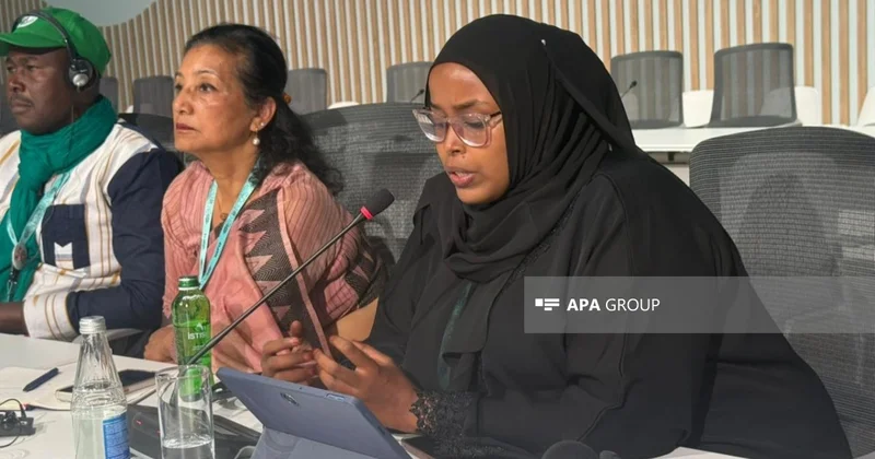 Somali nümayəndəsi: Altı ayı quraqlıq olur, ilin qalan ayları isə daşqınlarla üz üzəyik