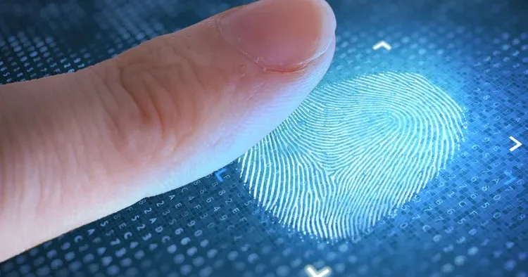 Rusiya hava limanlarında miqrantlara biometrik nəzarət tətbiq etmək istəyir