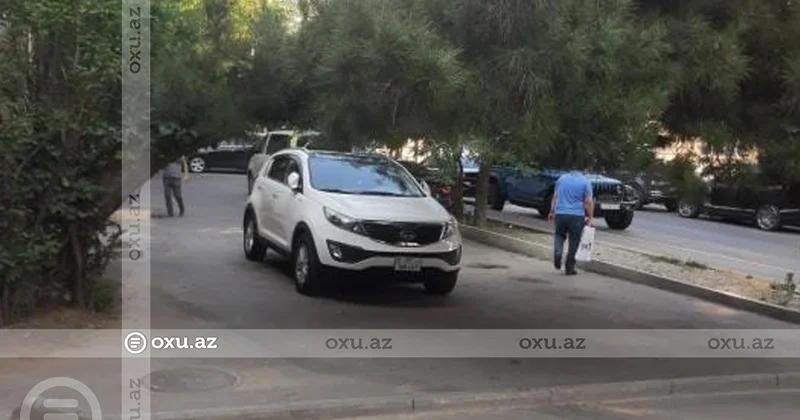 Bakıda iki küçənin kəsişməsindəki ağac aşmaq üzrədir Sakin ŞİKAYƏTİ