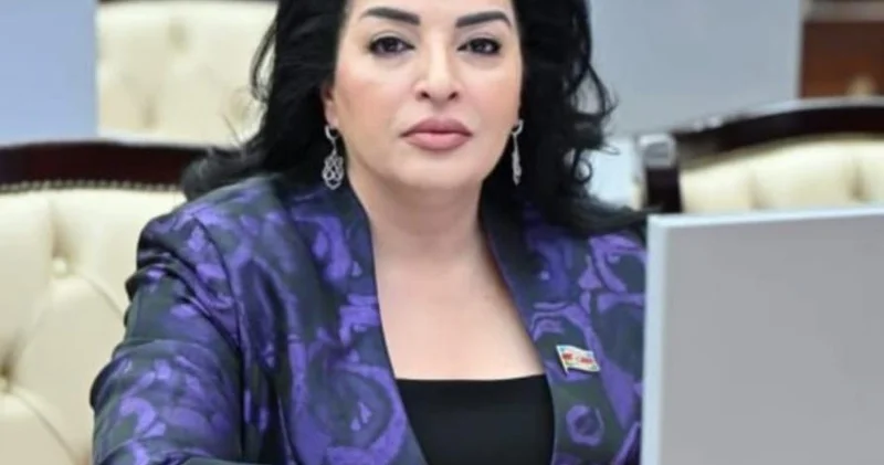Azərbaycan Türkiyə münasibətləri sadəcə diplomatik müstəvi ilə məhdudlaşmır