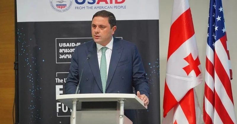 Gürcüstan DTX nın sabiq nazir müavini korrupsiya ittihamı ilə saxlanılıb
