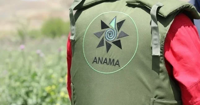 ANAMA işçi axtarır
