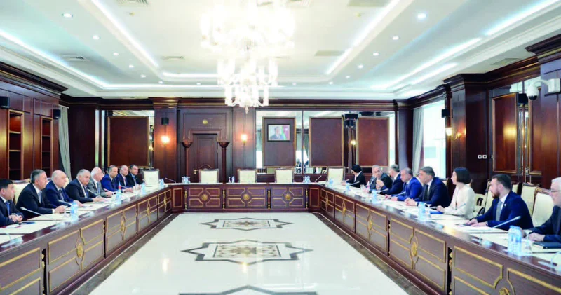 Sahibə Qafarova Gürcüstan parlamentariləri ilə görüşüb
