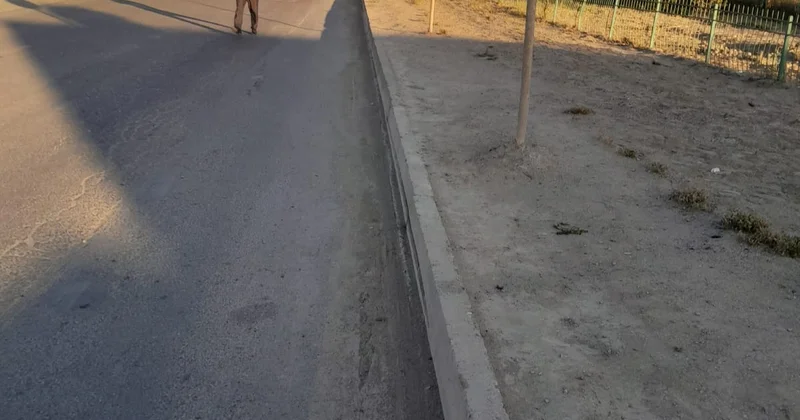 Şirvanda yük avtomobili qatar yolunda qalıb FOTOLAR
