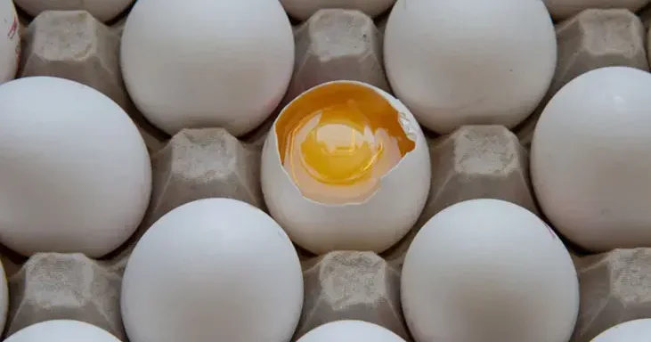 Çatlamış yumurta çox təhlükəlidir!