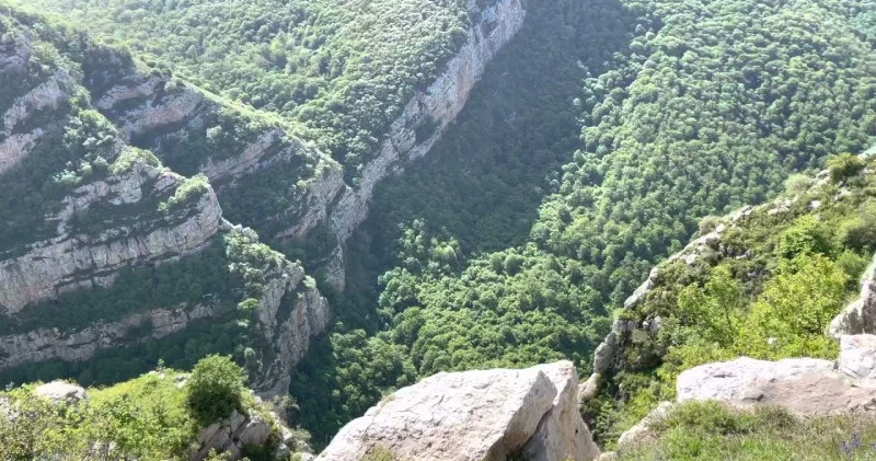 Xarici diplomatlar Cıdır düzündə olublar