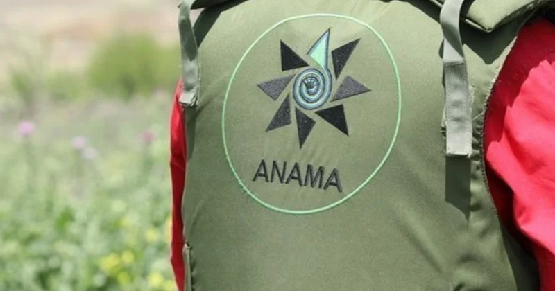 ANAMA işçi axtarır