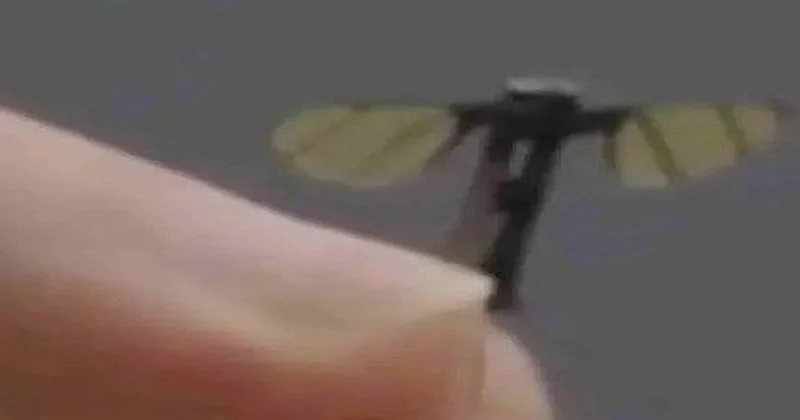 Çin ordusu ağcaqanad ölçüsündə mikrodron təqdim etdi VİDEO KONKRET