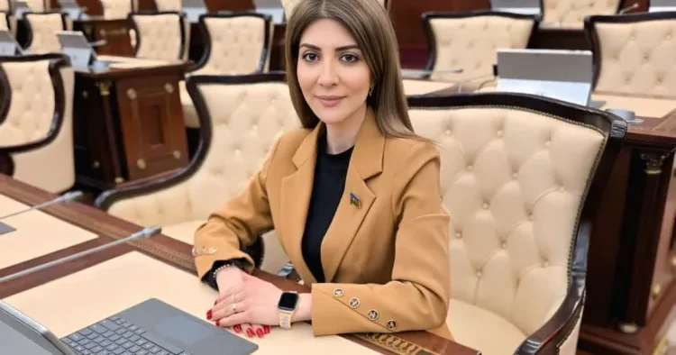 Paşinyan bölgədə əməkdaşlıq istəyirsə, Zəngəzur dəhlizinin açılmasına razılıq verməlidir Günay Ağamalı
