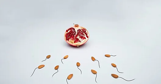 Sperma insandan kənarda nə qədər yaşayır..?