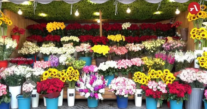 Армянские цветы доминируют на рынке Грузии
