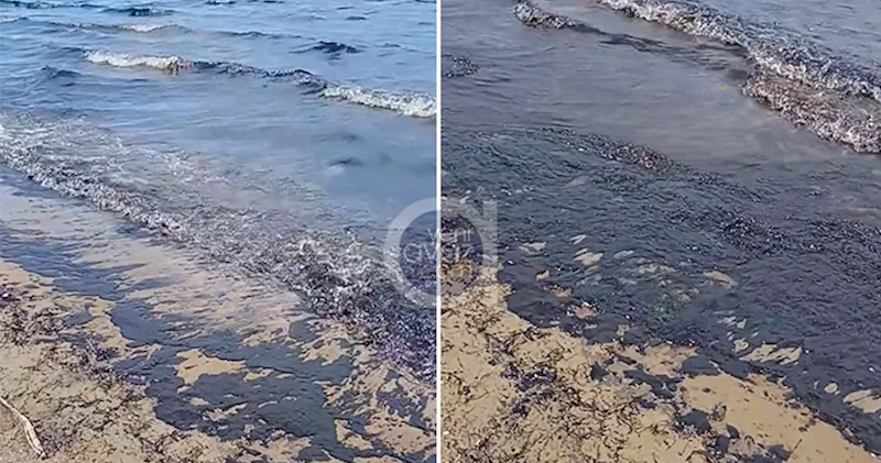 Şüvəlandakı çimərliklər də neftlə çirklənib? Video