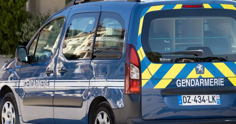 Это революция : француз, решив, что Макрона свергли , открыл стрельбу