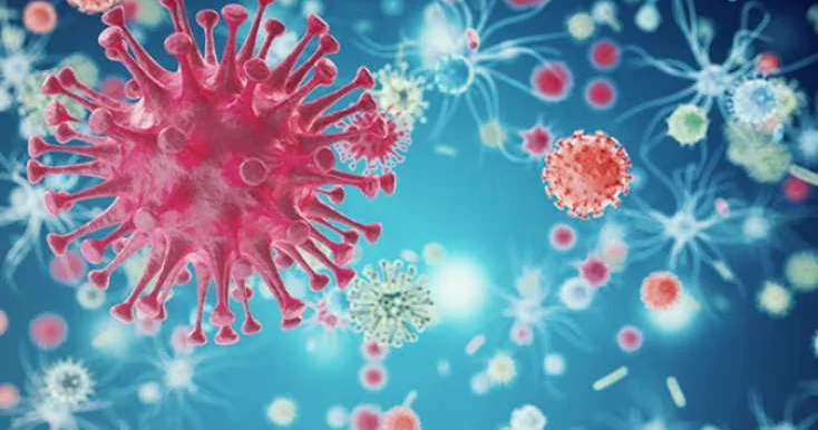 Eboladan ölənlərin sayı artdı KONKRET