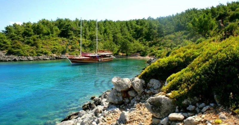 Məşhur düşərgədə dəhşət: Uşaqları…