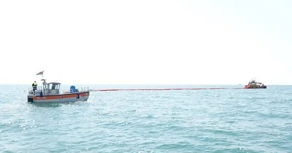 Bakıda çimərliyə neft sızdı "Azneft"dən açıqlama