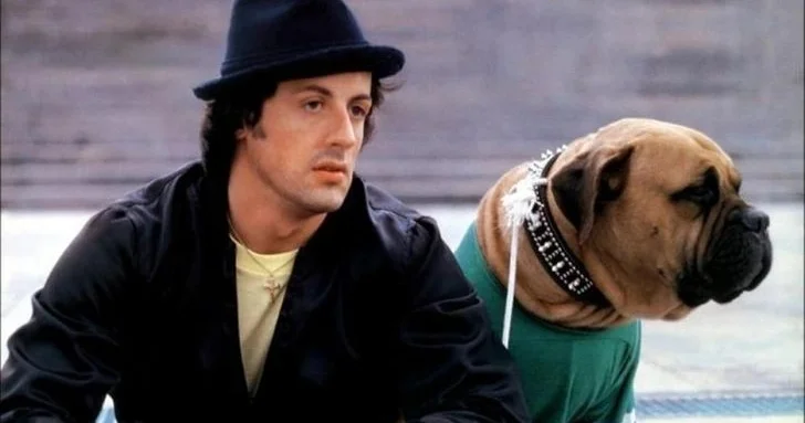 Öz yaxın dostunu 40 dollara satan Silvester Stallone elə günlərə qalıb ki... Rembonun acı hekayəsi