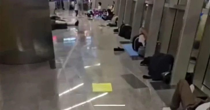 Пассажиры рейса Москва Гянджа застряли во Внуково на сутки: что происходит?