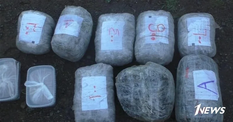 В Азербайджане изъята крупная партия марихуаны с психотропными добавками