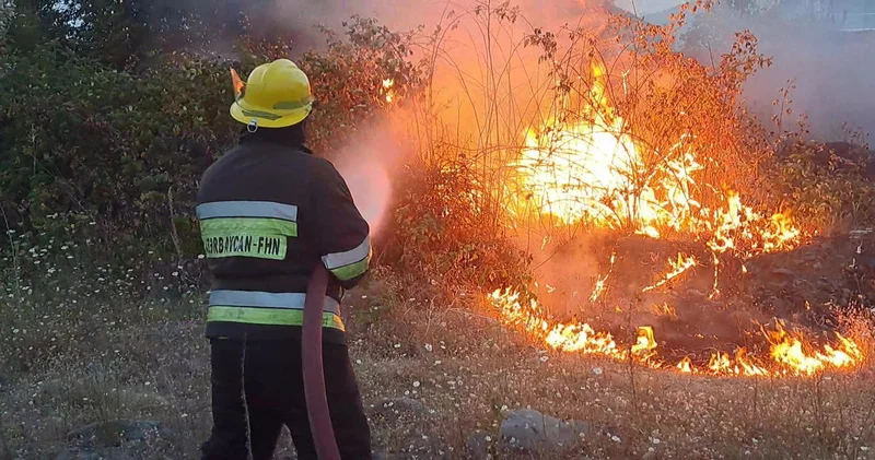 Zaqatalada açıq ərazidə yanğın olub FOTO