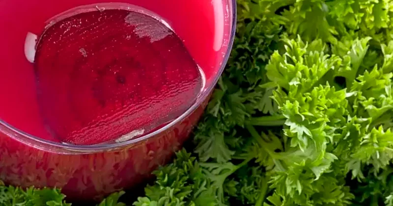 Bağırsaqları işə salan 7 QİDA