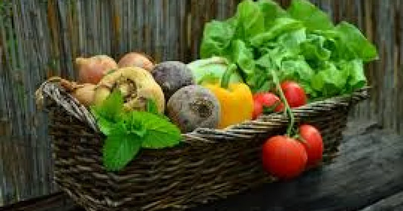 Виновато глобальное потепление: цены на продукты питания будут расти