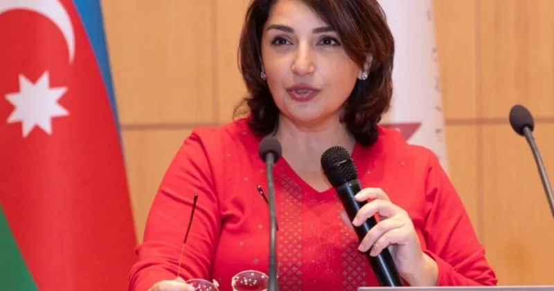 Şəfəq Mehrəliyeva: İnformasiya mühitində sağlam tənqid bacarığı zəifdir