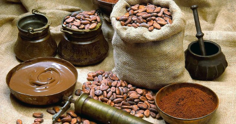Азербайджан экспортировал какао и продукты из него на $5,895 млн