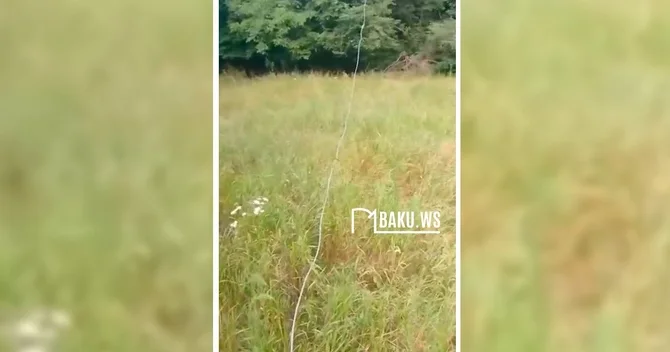Təhlükə yerə enib Tovuzda elektrik naqilləri can alır