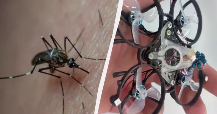 Havada ağcaqanadları vura bilən dron VİDEO