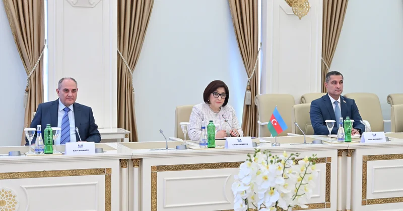 Milli Məclisin sədri Sahibə Qafarova Çin Kommunist Partiyasının nümayəndə heyəti ilə görüşüb