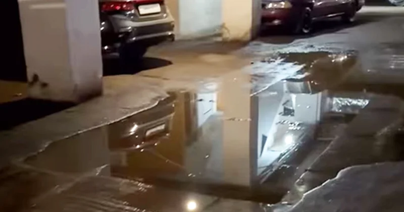 “Ümumiyyətlə, bura baxan var?” Video
