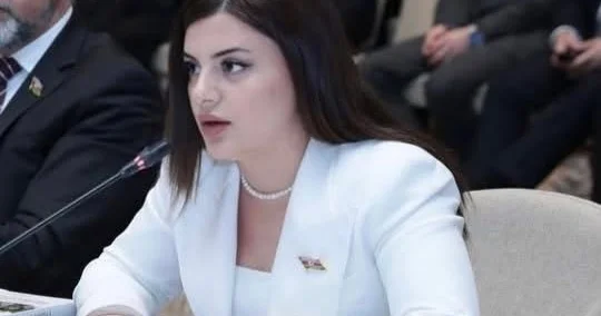 “Milli mətbuatın inkişafı bütövlükdə cəmiyyətin tərəqqisi deməkdir”