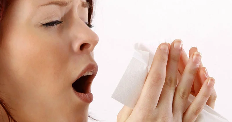 Alimlər xəbərdarlıq edir: Asqırmanı saxlamaq damarları partlada bilər