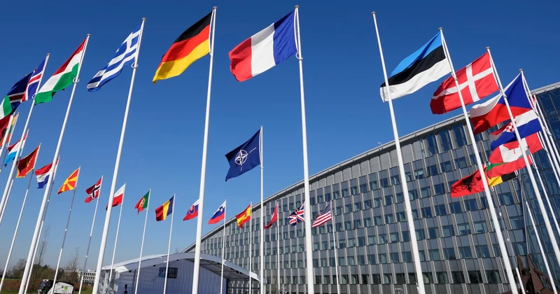 NATO sammiti Ankarada keçiriləcək Tarix açıqlandı