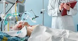 Orqanizmin dondurulub gələcəkdə dirildilməsi hələlik mümkün deyil HƏKİM DANIŞDI