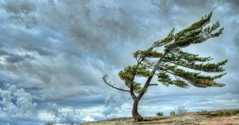 Hava KƏSKİN DƏYİŞİR Temperatur enəcək, külək GÜCLƏNƏCƏK