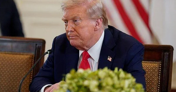 В Европе нашли способ привлечь внимание Трампа