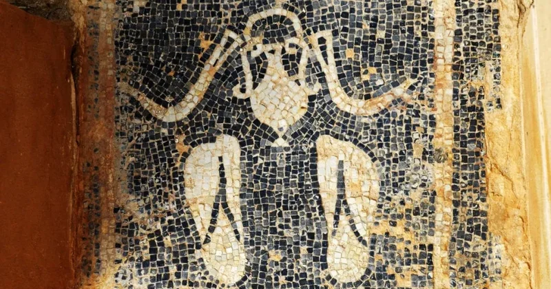 Antik Roma villasında qədim mozaika aşkarlandı