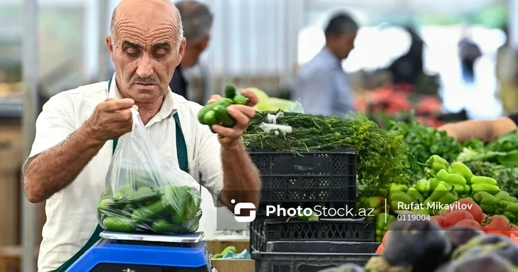 В Азербайджане резко подорожали огурцы: фермеры предупреждают о новом росте цен