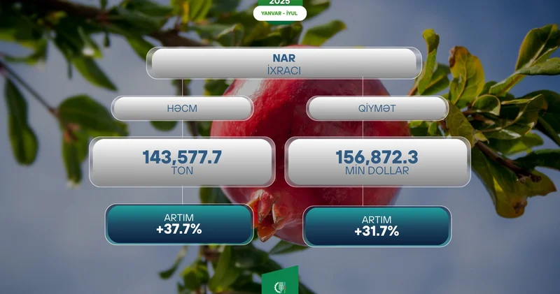 Azərbaycan xarici bazarlara nar ixracatı 37,7% artıb