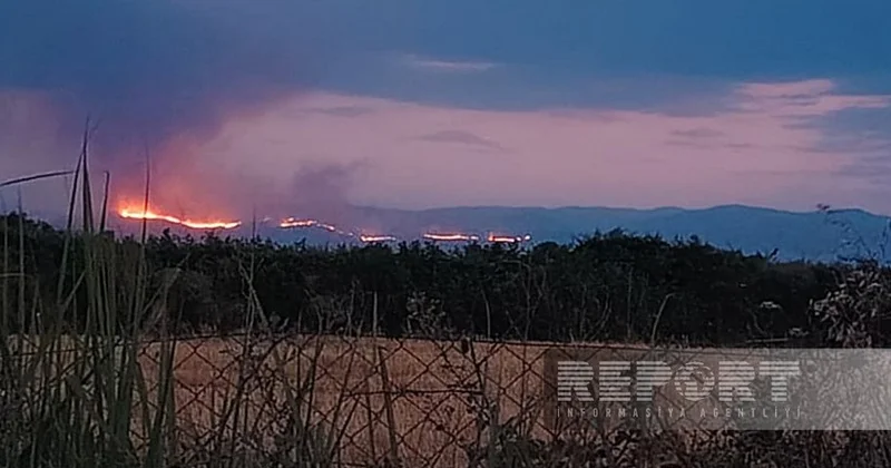 Лесной пожар в Агдере из за ветра распространился на территорию Агдама