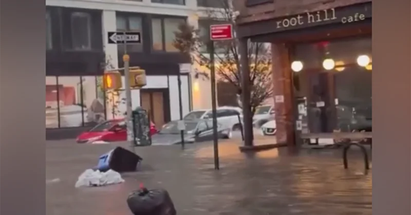 Daşqınlardan sonra Nyu York küçələri Video