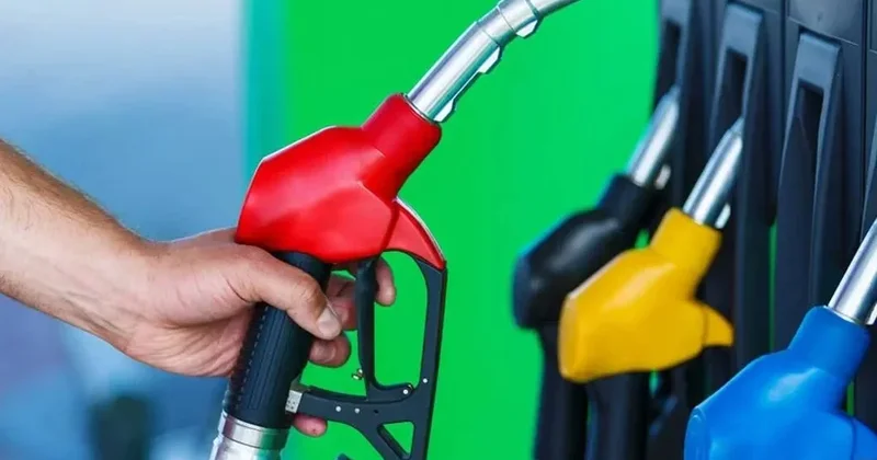 Avropada qazın qiyməti 800 dolları keçib
