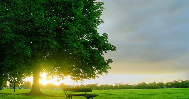 Sabah temperatur enəcək
