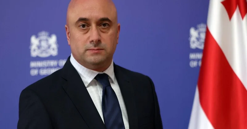 Gürcüstanın mədəniyyət naziri vəzifəsini müvəqqəti icra edən şəxs təyin olunub