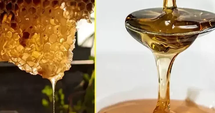 Süzmə, yoxsa pətək balı? Bunu alın